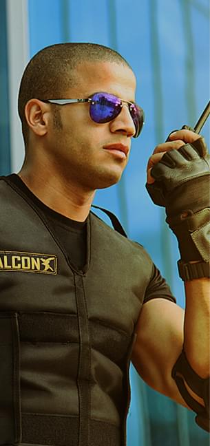 Falcon